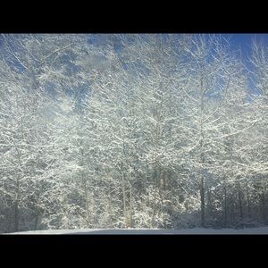 Meet your Posher, Jack